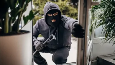 وکیل سرقت کرج